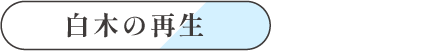 白木の再生